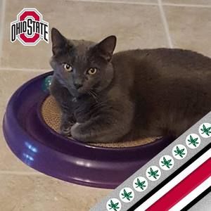 Meet your Posher, Betty